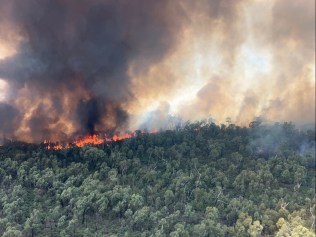 australia fires.jpg