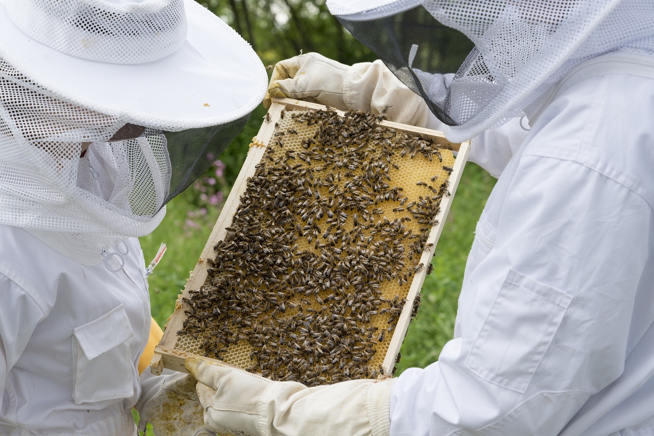beekeeper gd2f87f32a 1280.jpg