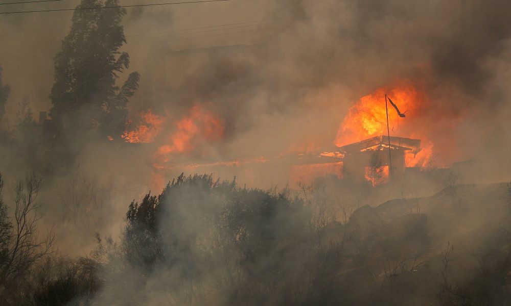 2024 02 04T000324Z 320420104 RC24V5AFG8A4 RTRMADP 5 CHILE WILDFIRES.jpg