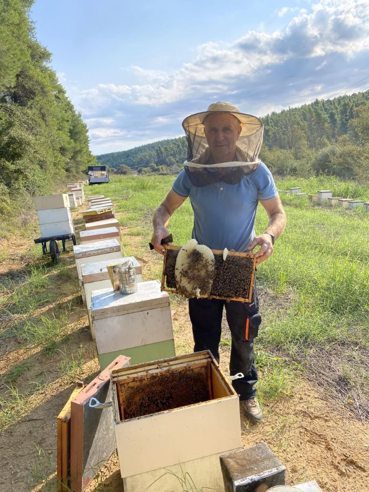 Μελισσοκόμος τρύγημα.jpg