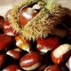 chestnut fruit 620x350.jpg