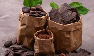 natural cocoa powder cocoa beans and chocolate XBHQ4WD 1024x768 1 620x350.jpg